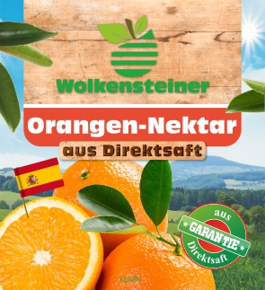 Orangen Nektar 1L