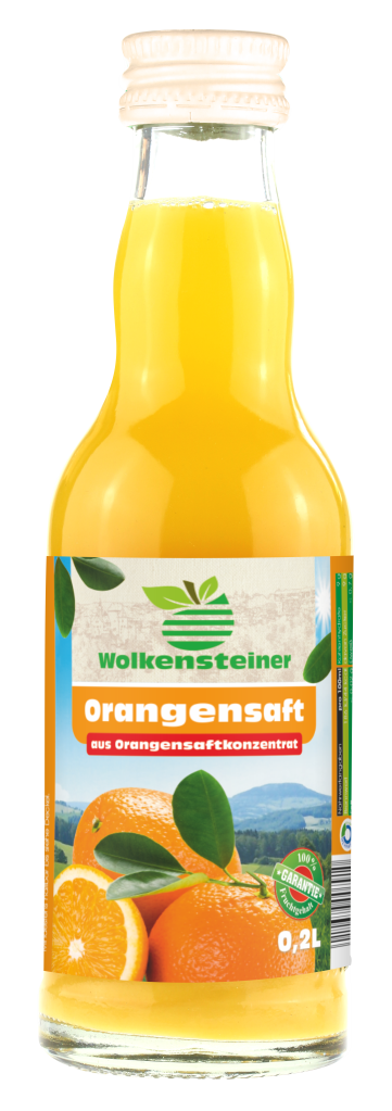 Orangensaft 02l