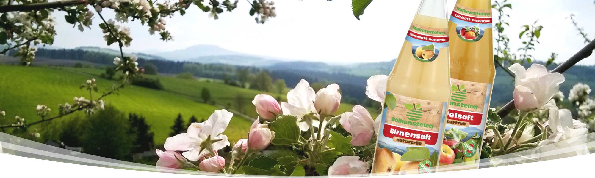 Die Apfelblüte und zwei Flaschen naturtrüber Saft